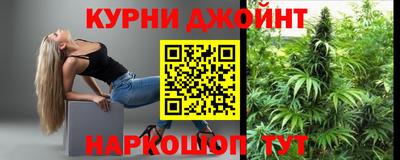 дживик Моздок