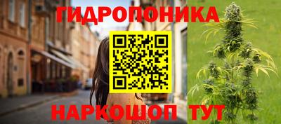 дживик Моздок